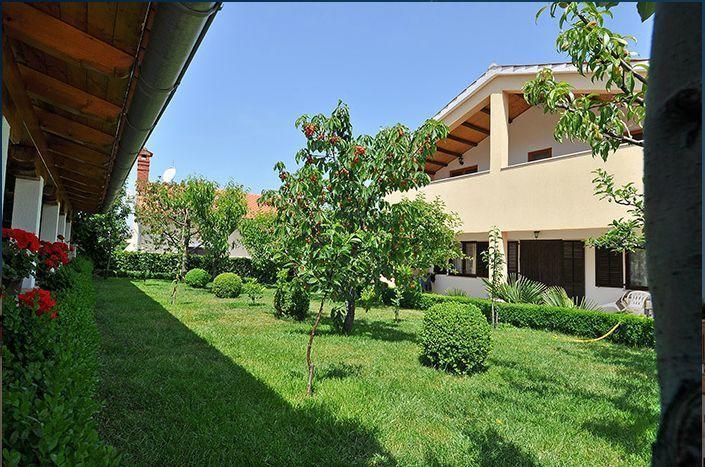 Apartment Pokrajac Ровінсько-Село Номер фото